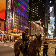 NYPD Horse