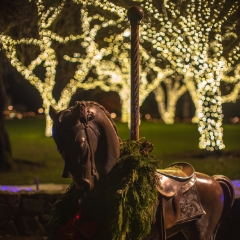 ictoria BC Butchart Carousel Horse Christmas Lights.jpg