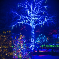 Victoria BC Butchart Holiday Square Christmas Lights.jpg