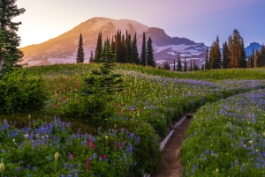Northwest Mountains Photography The Mountains of the Northwest, Rainier, St. Helens, Adams, Baker and Shuksan to name a few. These immense beautiful...