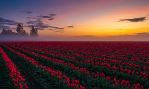 Northwest Photography The beauty of the Northwest part of the United States is unique, ever-changing and unsurpassed anywhere else in the...