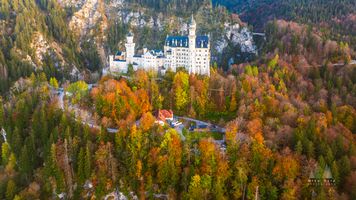 Aerial Castle Neuschwanstein Fall Colors Sunlit 5