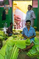 Banana Leaves Koyambedu