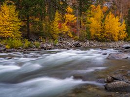 Northwest Fall Colors River