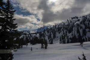 Mount Baker Ski Area Washington.jpg