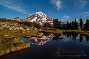 Rainier and Spray Park Evening Reflection Gentle dusk light reflectes Mount Rainier in a small tarn in Spray Park.