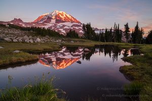 Spray Park Rainier Golden Glow Tarn