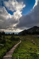 Spray Park Trail Meadows