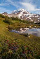 Spray Park Vertical Meadows