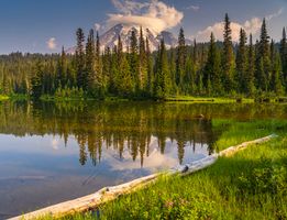 Mount Rainier Photography Reflection Lakes Log.jpg