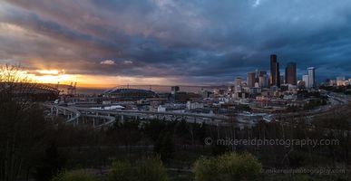 Seattle Dusk Sunstar