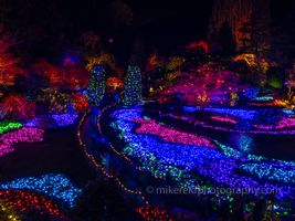 Victoria BC Butchart Sunken Garden Christmas Lights.jpg