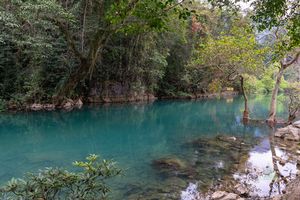 Vietnam Photography Lenin Stream Foliage.jpg